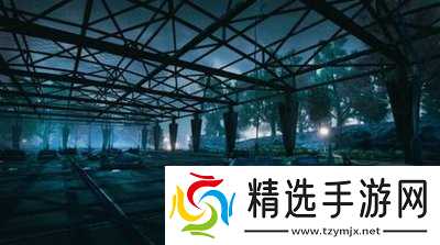 无限轮回推图的方法是什么