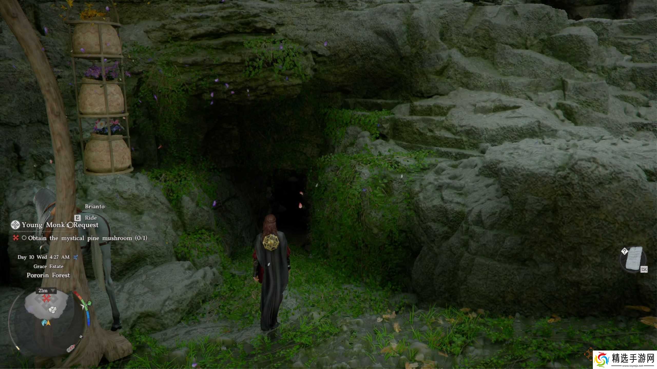 如何在红色沙漠中获取神秘松茸