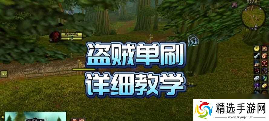 魔兽盗贼单刷升级地点推荐？