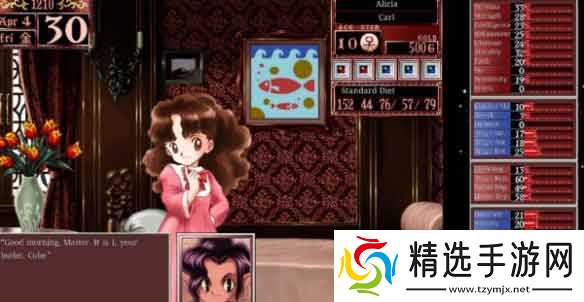 美少女梦工厂2韶华再续秘籍怎么用？