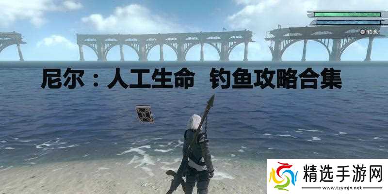 《尼尔人工生命升级版钓鱼技巧大全》(掌握关键技巧)