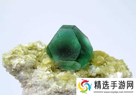 《尼尔人工生命氟石的获取方法》(游戏中的关键道具)