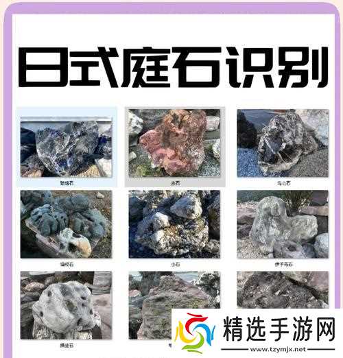 《尼尔人工生命氟石的获取方法》(游戏中的关键道具)