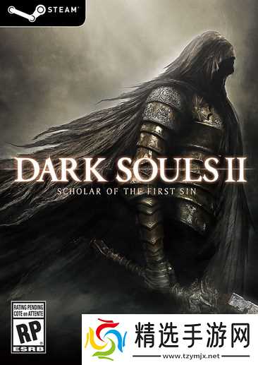 黑暗之魂2玩家全程仅用粪便道具极限通关，凭中毒机制无伤击败全Boss