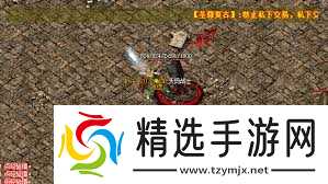 热血传奇新手如何选择职业