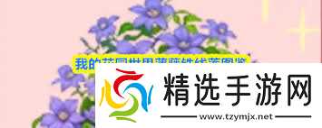 我的花园世界薄藤铁线莲怎么样