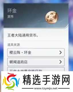 王者荣耀世界货币系统介绍