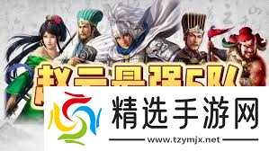 三国乱世霸王赵云如何进行配队