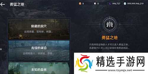 黑色沙漠手游新手攻略一览