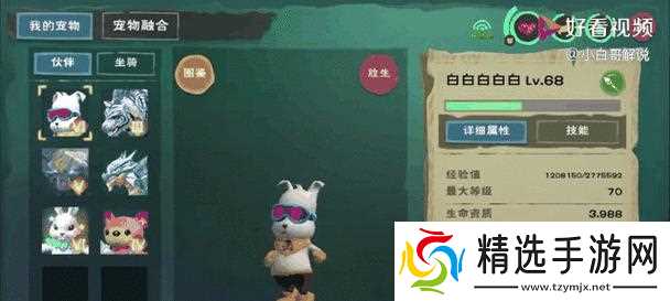 《创造与魔法》游戏6阶白虎进阶材料一览（游戏中如何获取6阶白虎进阶材料）