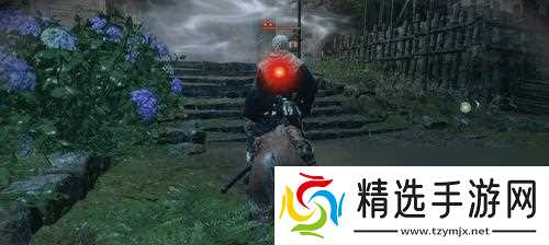 只狼状态效果分析（揭秘以只狼状态为主的效果与战略应用）