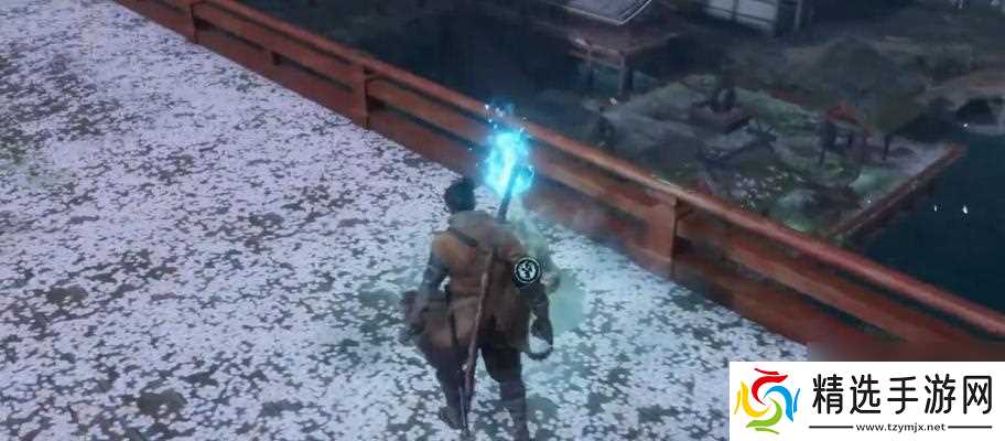 《只狼七面武士位置全解析》（掌握七面BOSS位置一览）