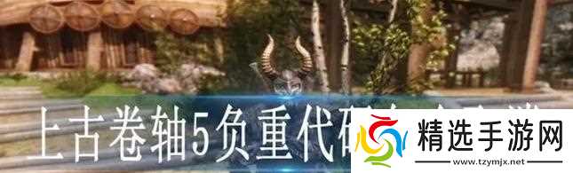 解决负重过重问题，让你在上古卷轴5（教你如何解决负重过重的问题）