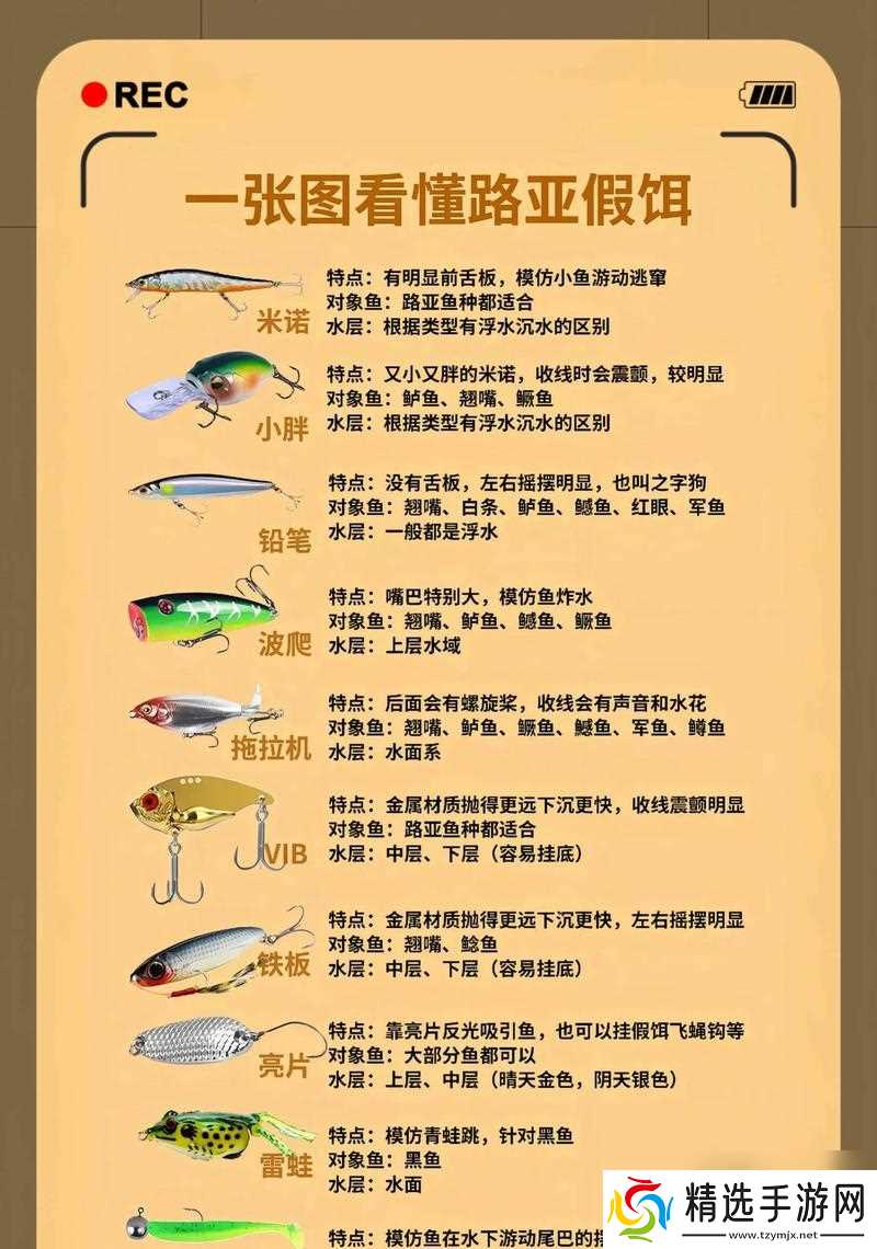征服的荣耀围城鱼饵的神奇效果（打造顶级战略的利器——征服的荣耀围城鱼饵）