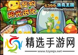 洛克王国世界犀角鸟如何进化