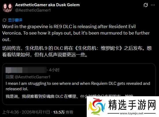 曝《生化危机9：安魂曲》DLC明年晚些时候发售！和《生化危机：代号维罗妮卡 重制版》相呼应