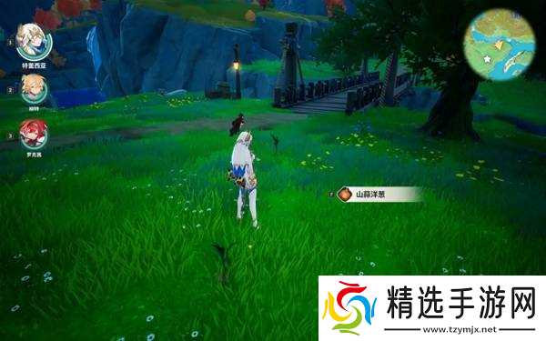 《龙之剑觉醒》山蒜洋葱采集路线推荐