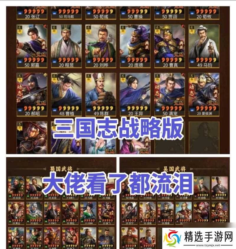 以智谋三国志（在虚拟三国世界中尽显智者风范）