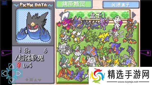口袋妖怪梦的光点雷之石在哪得？