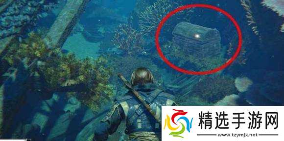 《刺客信条4黑旗记忆重置》佛罗里达全收集攻略