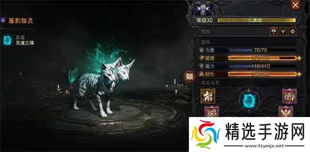 暗黑破坏神不朽使魔PVP与PVE怎么选？
