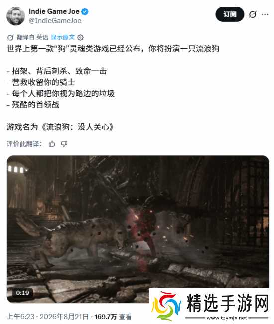 国产独立游戏只狗：路边一条以流浪犬视角引爆全球关注
